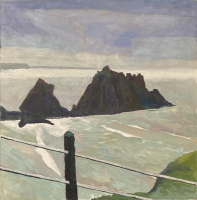 Hartland Quay (Dad's 100th and swim)