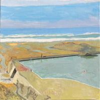 Bude Sea Pool with swimmer