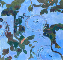 Pond Skaters Goldfish Layers